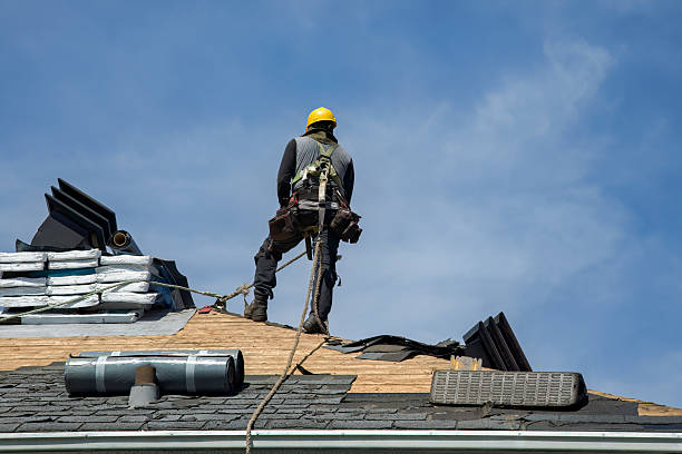 Professional Roof Installation technician working in Rogers, KY